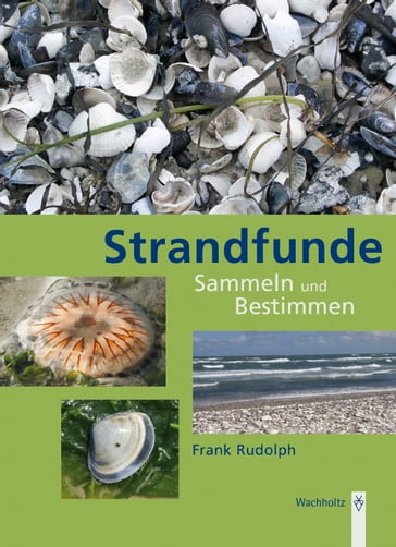 Strandfunde - Frank Rudolph