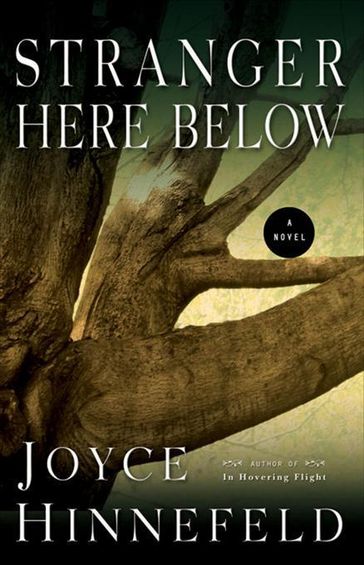 Stranger Here Below - Joyce Hinnefeld