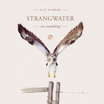 Strangwater - Gijs Wilbrink