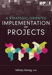 Strategic-Oriented Implementation of Projects