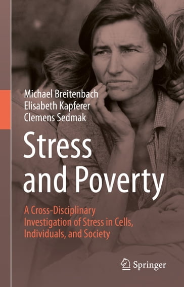 Stress and Poverty - Clemens Sedmak - Elisabeth Kapferer - Michael Breitenbach