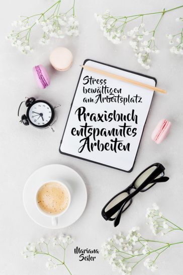 Stress bewältigen am Arbeitsplatz: IN 3 SCHRITTEN DEINEN STRESS BEWÄLTIGEN UND DAUERHAFT STRESSFREI ARBEITEN! Praxisbuch für entspanntes Arbeiten ohne Stress und Zeitdruck (Inkl. 3 Schritte Praxisprogramm zum Stress bewältigen im Job!) - Mariana Seiler