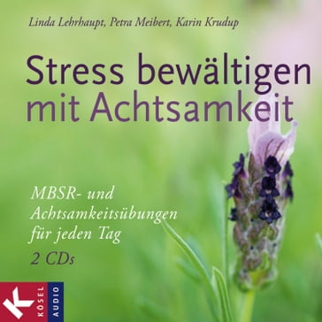 Stress bewältigen mit Achtsamkeit - Karin Krudup - Linda Lehrhaupt - Petra Meibert