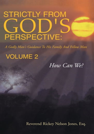 Strictly from God's Perspective: a Godly Man's Guidance to His Family and Fellow Man Volume 2 - Reverend Rickey Nelson Jones