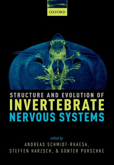 Structure and Evolution of Invertebrate Nervous Systems - Andreas Schmidt-Rhaesa - Gunter Purschke - Steffen Harzsch