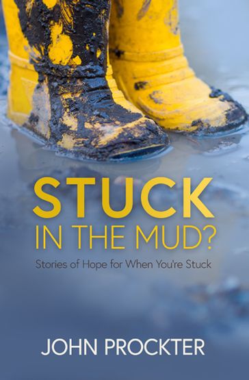 Stuck in the Mud? - John Prockter