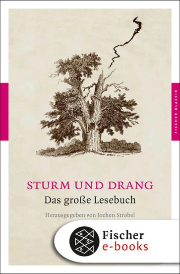 Sturm und Drang - Jochen Strobel