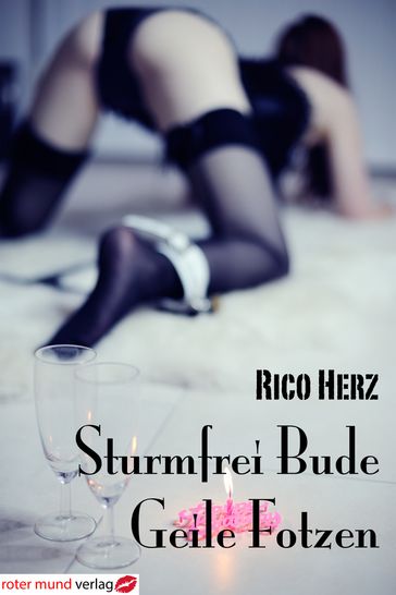 Sturmfreie Bude - Geile Fotzen - Rico Herz