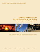 Subsidy Reform in the Middle East and North Africa