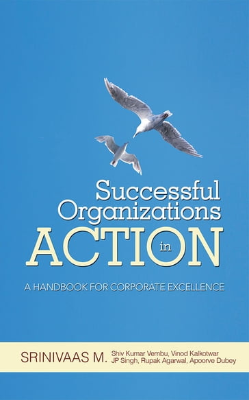 Successful Organizations in Action - Srinivaas M.