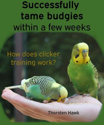 Successfully tame budgies within a few weeks - Thorsten Hawk