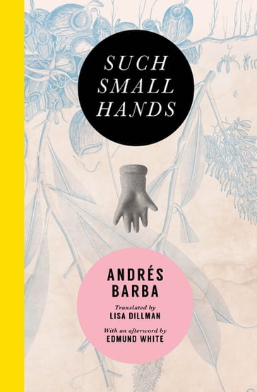 Such Small Hands - Andrés Barba - Edmund White