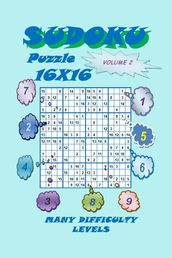 Sudoku Puzzle 16X16, Volume 2