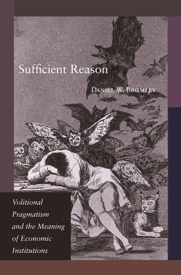 Sufficient Reason - Daniel W. Bromley
