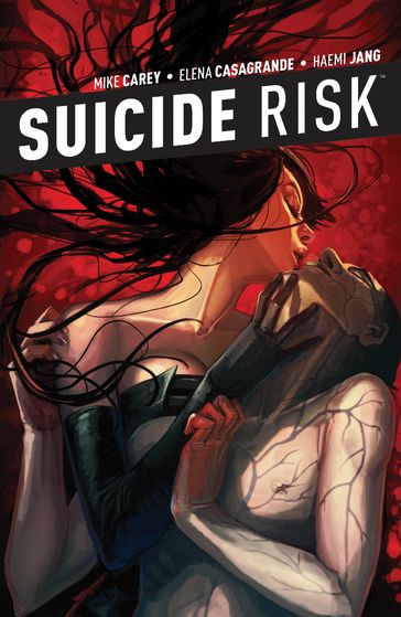 Suicide Risk Vol. 5 - Mike Carey