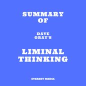 Summary of Dave Gray s Liminal Thinking