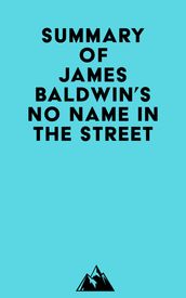 Summary of James Baldwin s No Name in the Street
