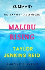 Summary of MALIBU RISING by Taylor Jenkins Reid