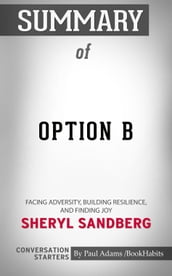 Summary of Option B