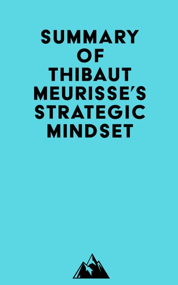 Summary of Thibaut Meurisse's Strategic Mindset -   Everest Media