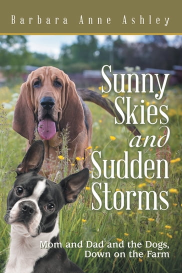 Sunny Skies and Sudden Storms - Barbara Anne Ashley