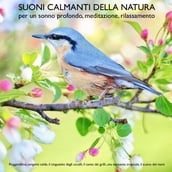 Suoni calmanti della natura (senza musica) per un sonno profondo, meditazione, rilassamento