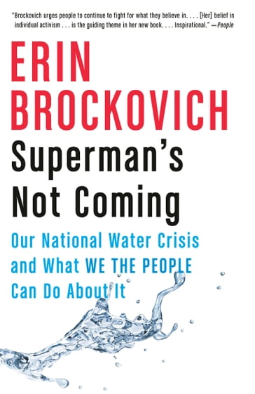 Superman's Not Coming - Erin Brockovich