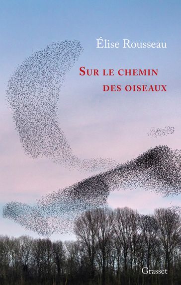 Sur le chemin des oiseaux - Élise Rousseau