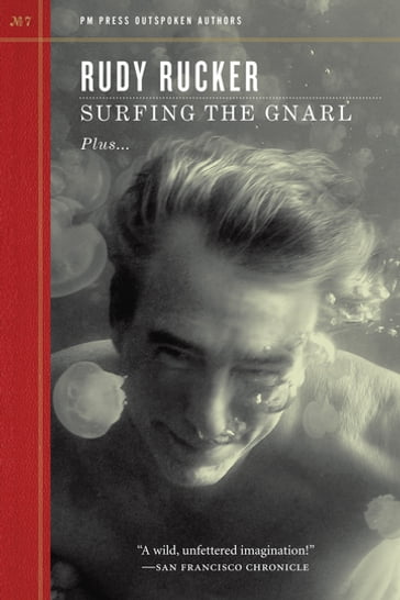 Surfing the Gnarl - Rudy Rucker