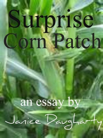 Surprise Corn Patch - Janice Daugharty