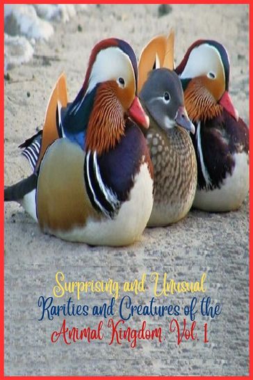 Surprising and unusual rarities and creatures of the Animal Kingdom. Vol. 1 - Zoila Camacho