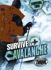 Survive an Avalanche