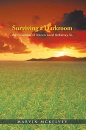 Surviving a Darkroom