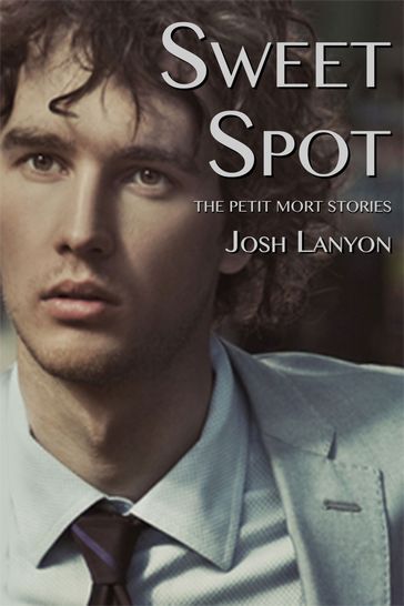 Sweet Spot - Josh Lanyon