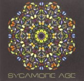 Sycamore age