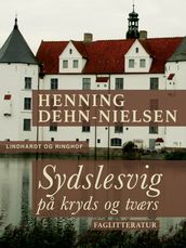 Sydslesvig pa kryds og tværs