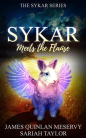 Sykar Meets the Flause