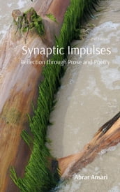 Synaptic Impulses