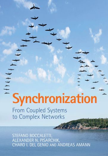 Synchronization - Alexander N. Pisarchik - Andreas Amann - Charo I. del Genio - Stefano Boccaletti