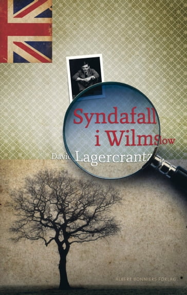 Syndafall i Wilmslow - David Lagercrantz