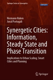 Synergetic Cities: Information, Steady State and Phase Transition