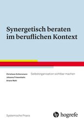 Synergetisch beraten im beruflichen Kontext