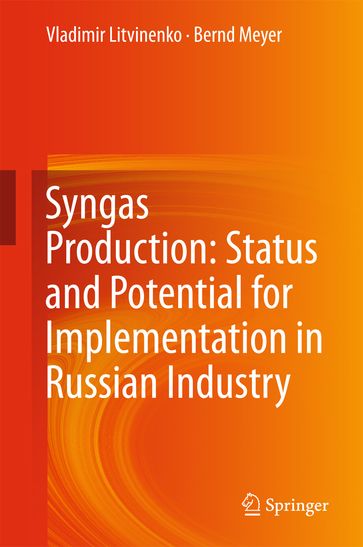 Syngas Production: Status and Potential for Implementation in Russian Industry - Vladimir Litvinenko - Bernd Meyer