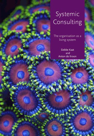 Systemic consulting - Anton De Kroon - Siebke Kaat