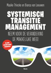 Systemisch Transitiemanagement