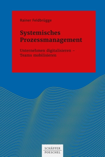 Systemisches Prozessmanagement - Rainer Feldbrugge