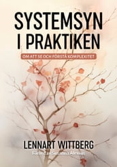 Systemsyn i praktiken