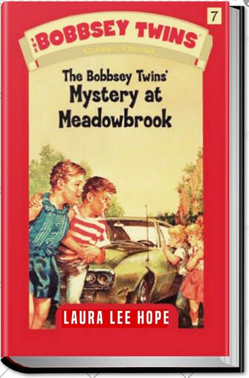 THE BOBBSEY TWINS AT MEADOW BROOK - Laura Lee Hope