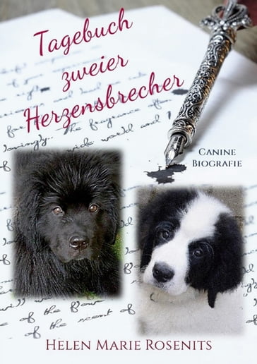 Tagebuch zweier Herzensbrecher - Helen Marie Rosenits