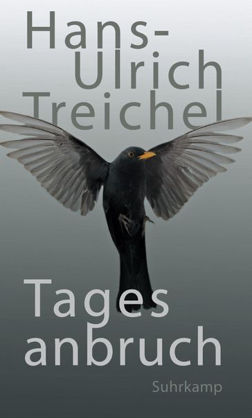 Tagesanbruch - Hans-Ulrich Treichel